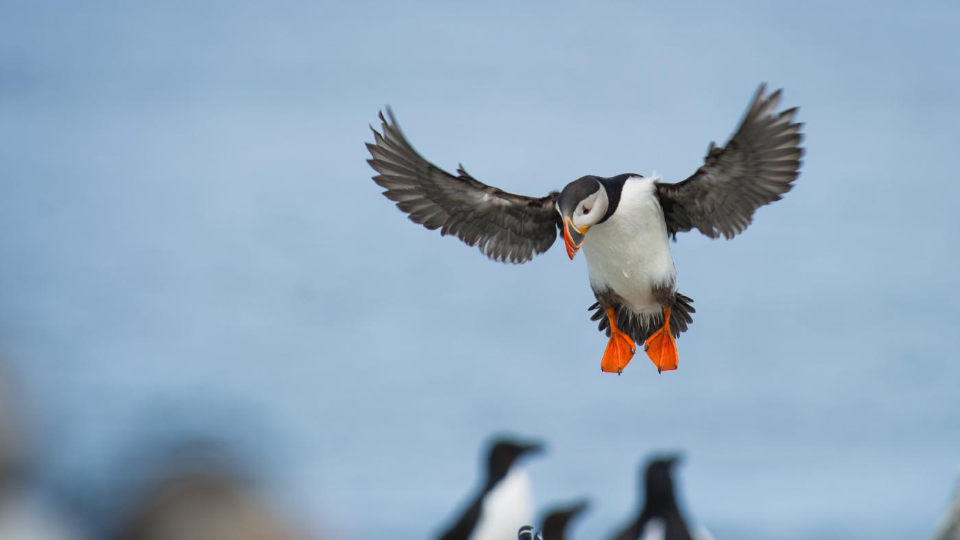 数据分析思维课学习笔记 - 基础篇